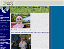 Tablet Screenshot of biomedexcellant.tripod.com