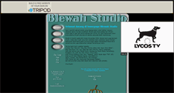 Desktop Screenshot of blewahstudio.tripod.com
