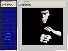 Tablet Screenshot of bruceleelegend.tripod.com