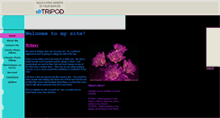 Desktop Screenshot of britney829.tripod.com