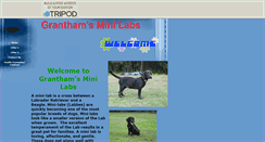 Desktop Screenshot of granthamsminilab.tripod.com