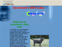Tablet Screenshot of granthamsminilab.tripod.com