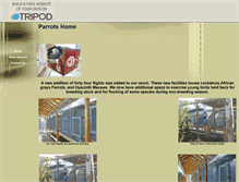 Tablet Screenshot of parrotshome.tripod.com