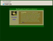 Tablet Screenshot of bulbophyllum.tripod.com