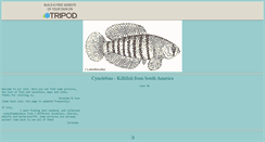 Desktop Screenshot of cynolebia.tripod.com