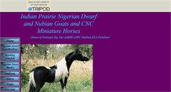 Desktop Screenshot of cncminiaturehorses.tripod.com