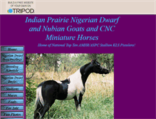 Tablet Screenshot of cncminiaturehorses.tripod.com
