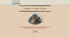 Desktop Screenshot of birdhousewarehouse.tripod.com
