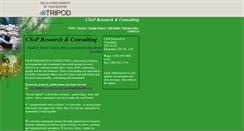 Desktop Screenshot of csopconsulting.tripod.com