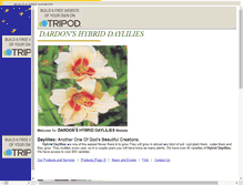 Tablet Screenshot of dardon4.tripod.com