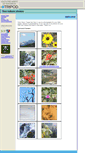 Mobile Screenshot of freenaturephotos.tripod.com