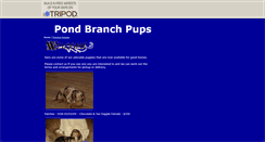 Desktop Screenshot of doxiepupsrus.tripod.com