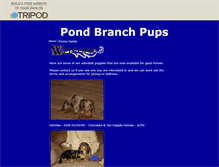 Tablet Screenshot of doxiepupsrus.tripod.com