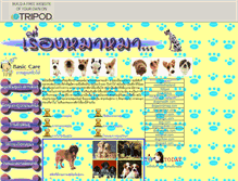 Tablet Screenshot of dogbangkok.tripod.com