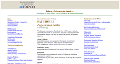 Desktop Screenshot of informer11.tripod.com