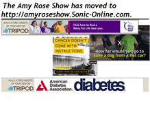 Tablet Screenshot of amyroseshow.tripod.com
