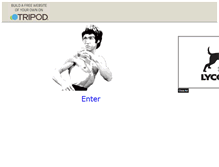 Tablet Screenshot of kungfumartialarts.tripod.com