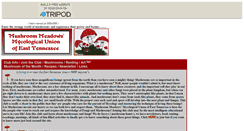 Desktop Screenshot of mmmushrooms.tripod.com