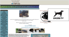 Desktop Screenshot of mulefootpigs.tripod.com