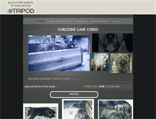 Tablet Screenshot of corleonecanecorso.tripod.com