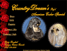 Tablet Screenshot of countrydreamscockers.tripod.com