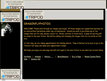 Tablet Screenshot of dragonflyphotos.tripod.com