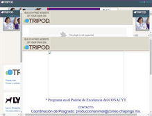 Tablet Screenshot of chapingo.mx.tripod.com