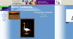 Desktop Screenshot of kemilcarbuccia.tripod.com