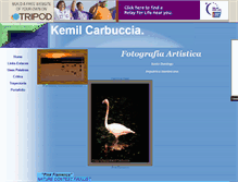Tablet Screenshot of kemilcarbuccia.tripod.com