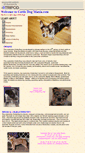 Mobile Screenshot of cattledogmania.tripod.com