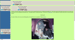 Desktop Screenshot of firstrats.tripod.com