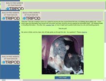 Tablet Screenshot of firstrats.tripod.com