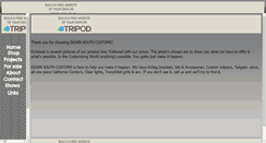 Desktop Screenshot of downsouthkustoms1.tripod.com