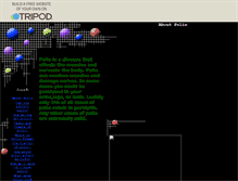 Tablet Screenshot of bolles04.tripod.com