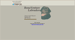 Desktop Screenshot of bonaventurelabs.tripod.com