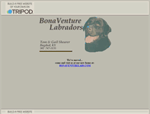 Tablet Screenshot of bonaventurelabs.tripod.com