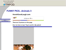 Tablet Screenshot of funnypicsanimals3.tripod.com