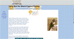 Desktop Screenshot of larrybirdcoen.tripod.com