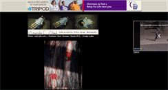 Desktop Screenshot of amandastaggs2005.tripod.com