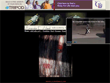 Tablet Screenshot of amandastaggs2005.tripod.com