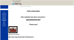Desktop Screenshot of beaverspups.tripod.com