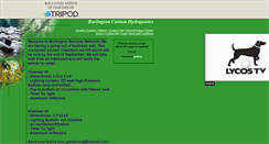Desktop Screenshot of bsn-painting.tripod.com