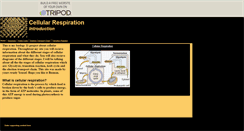 Desktop Screenshot of blackwallstreet2.tripod.com
