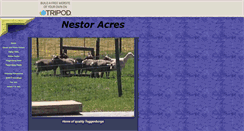 Desktop Screenshot of nestoracres.tripod.com