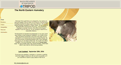 Desktop Screenshot of nehamstery.tripod.com