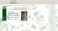 Desktop Screenshot of mralby.tripod.com