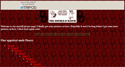 Desktop Screenshot of doubledranch.tripod.com