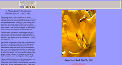 Desktop Screenshot of davidtimms.tripod.com