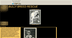 Desktop Screenshot of bullybreedrescue.tripod.com