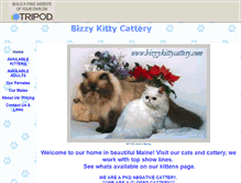 Tablet Screenshot of bizzykittycatteryme.tripod.com